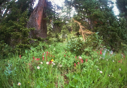 Lower Parika Lake